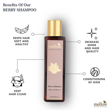 Vanity Wagon | Buy Mellow Berry Shampoo with Hibiscus