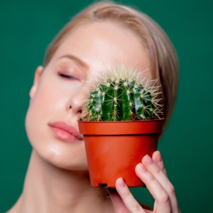 Cactus Skincare Is The New Buzz In The Town | Vanity Wagon