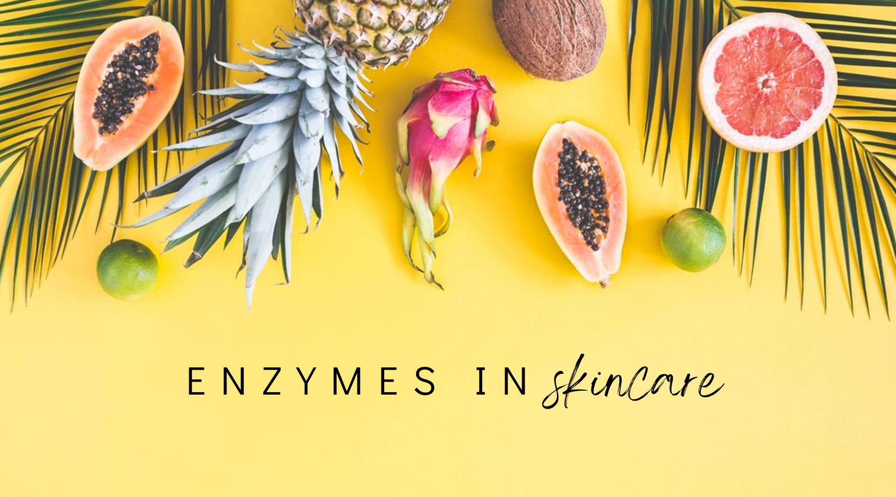 Enzymes in Skincare | Vanity Wagon
