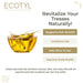 Vanity Wagon | Buy Ecotyl Ayurvedic Hair Oil