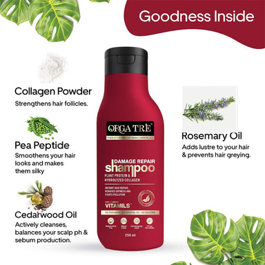 Vanity Wagon | Buy Orgatre Damage Repair Shampoo with Plant Protein & Hydrolyzed Collagen