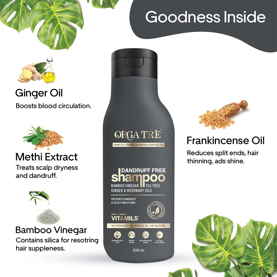 Vanity Wagon | Buy Orgatre Dandruff Free Shampoo with Bamboo Vinegar, Tea Tree, Ginger & Rosemary Oil