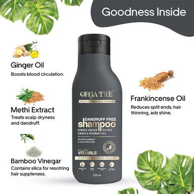 Vanity Wagon | Buy Orgatre Dandruff Free Shampoo with Bamboo Vinegar, Tea Tree, Ginger & Rosemary Oil