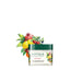 Vanity Wagon | Buy Biotique Bio Fruit Whitening and Depigmentation Face Pack For All Skin Types