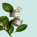 Vanity Wagon l Buy Juicy Chemistry Tuscany Lemon & Green Tea Organic Lip Scrub