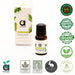 Vanity Wagon | Buy Anveya Peppermint Essential Oil