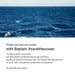 Vanity Wagon | Buy Beplain Clean Ocean Nonnano Mild Sunscreen SPF50+