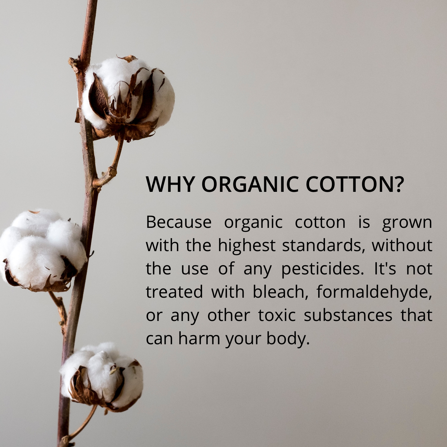 Vanity Wagon | Buy Carmesi 100% Organic Cotton Tampons, 16 Super