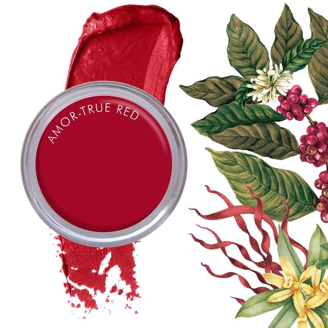 Vanity Wagon | Buy Daughter Earth Amor, The True Red Super Antioxidant Lip & Cheek Tint