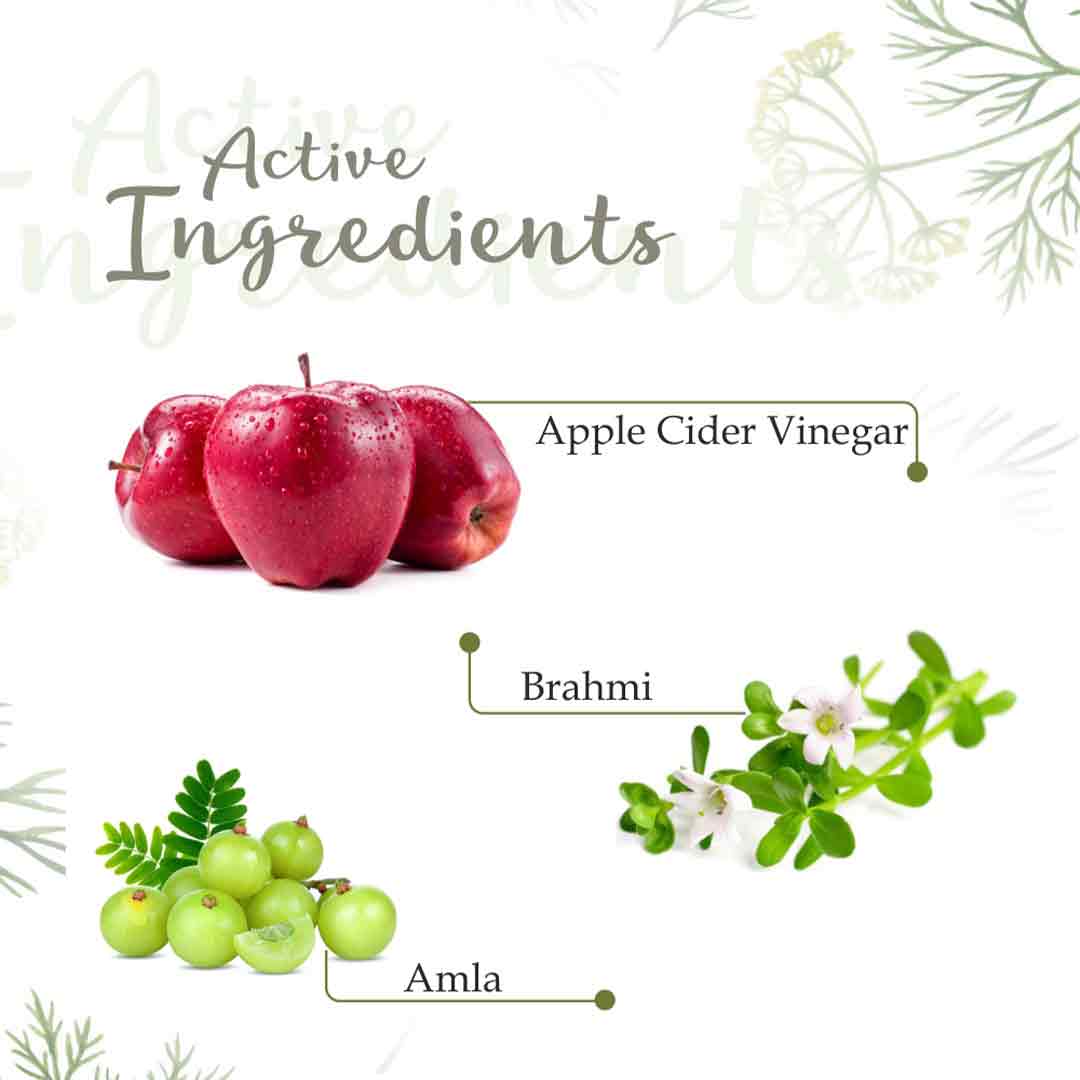 Vanity Wagon | Buy Apple Cider Vinegar Conditioner
