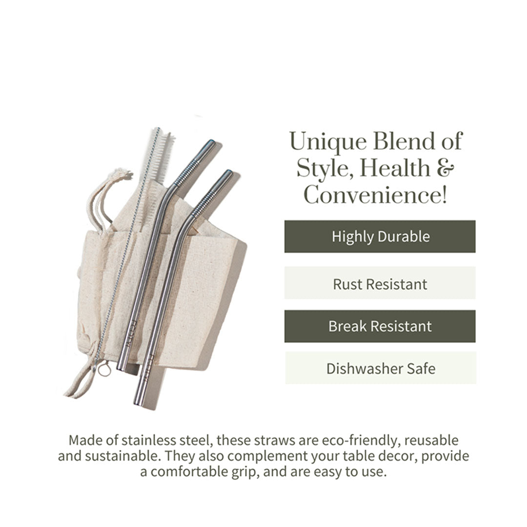 Vanity Wagon | Buy Ecotyl Stainless Steel Straw Bent with Straw Cleaning Brush