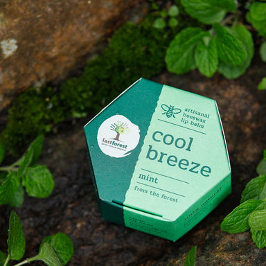 Vanity Wagon | Buy Last Forest Artisanal Beeswax Lip Balm with Mint