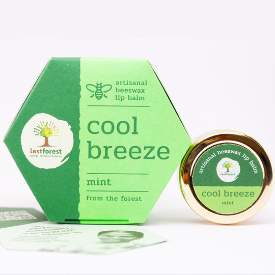 Vanity Wagon | Buy Last Forest Artisanal Beeswax Lip Balm with Mint