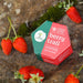 Vanity Wagon | Buy Last Forest Artisanal Beeswax Lip Balm with Strawberry