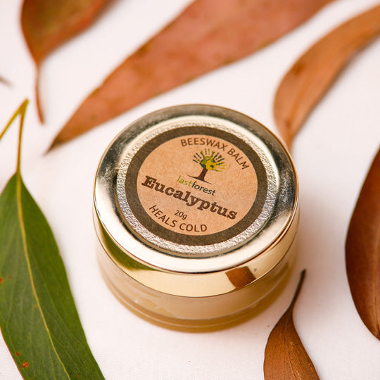 Vanity Wagon | Buy Last Forest Eucalyptus Balm for Cold & Clogged Nose