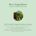 Vanity Wagon | Buy Lotus Organics+ Hair Fall Control Conditioner with Rosemary