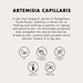 Vanity Wagon | Buy ONE THING Artemisia Capillaris Extract