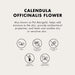 Vanity Wagon | Buy ONE THING Calendula Officinalis Flower Extract