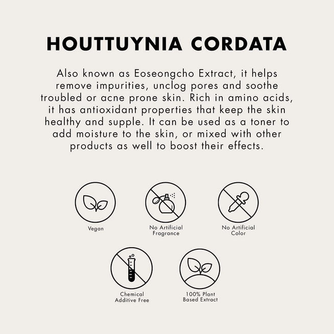 Vanity Wagon | Buy ONE THING Houttuynia Cordata Extract