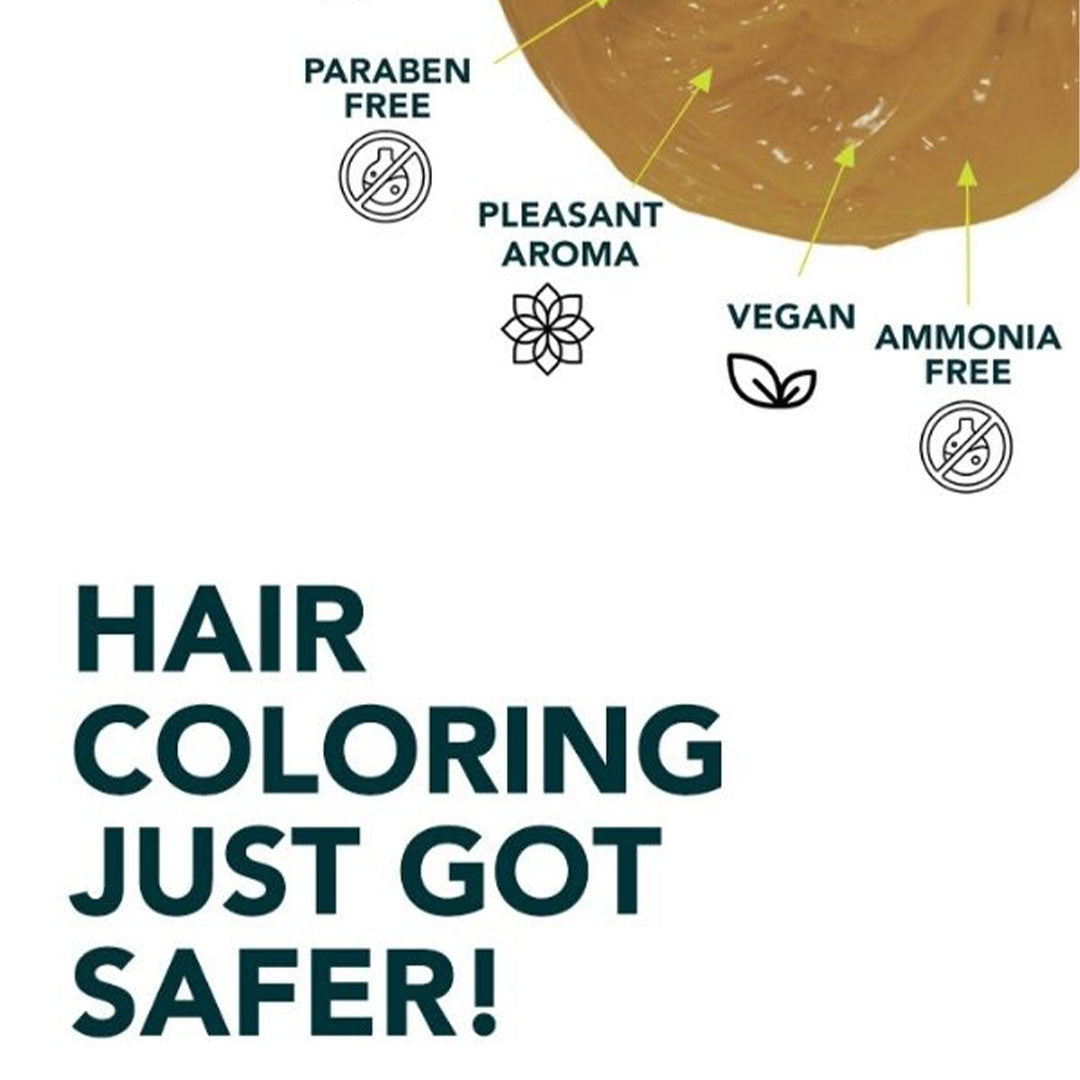 Vanity Wagon | Buy Paradyes Ammonia Free Semi-permanent Hair Color Highlighting Kit, Honey Blonde