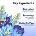 Vanity Wagon | Buy Paradyes Blue Lotus Tea Hair Mist