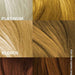 Vanity Wagon | Buy Paradyes Semi-permanent Hair Color jar, Honey Blonde