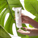 Vanity Wagon | Buy Plum Green Tea Day-Light Sunscreen SPF 35 PA+++