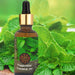 Vanity Wagon | Buy Pratha Pure Peppermint Essential Oil