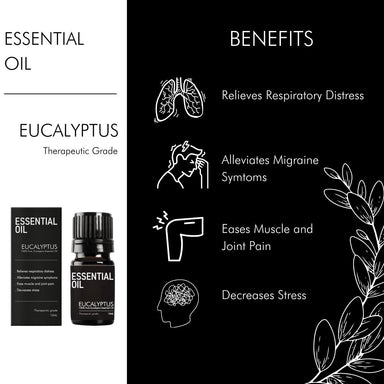 Buy Secret Alchemist Eucalyptus Essential Oil