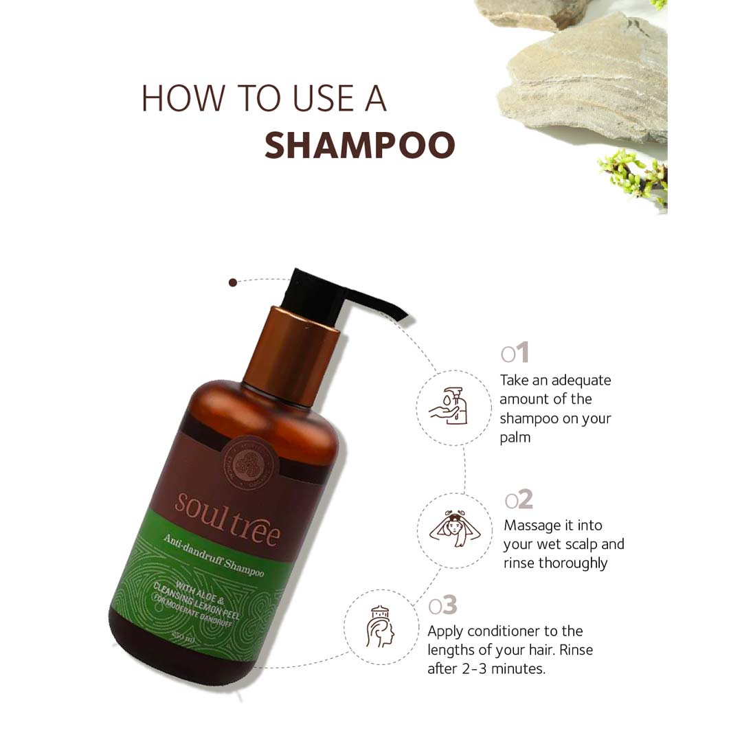 Vanity Wagon | Buy SoulTree Anti-Dandruff Shampoo with Aloe & Cleansing Lemon Peel
