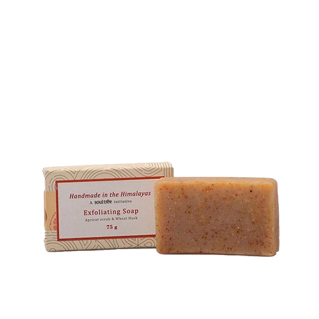 Vanity Wagon | Buy SoulTree Exfoliating Soap with Apricot & Wheat Husk