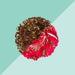 Tea Trunk Hibiscus, Green Tea -2