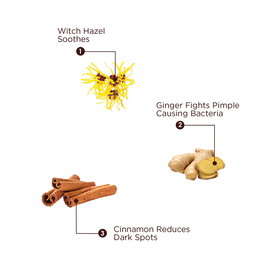 Vanity Wagon | Buy The Skin Story Ginger & Cinnamon Pimple Control Face Wash with Witch Hazel