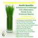 Vanity Wagon | Buy WishCare 100% Pure Lemongrass Essential Oil