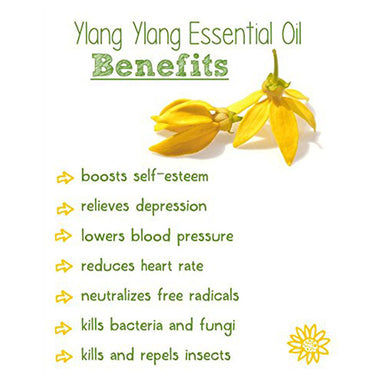 Vanity Wagon | Buy WishCare 100% Pure Ylang Ylang Essential Oil