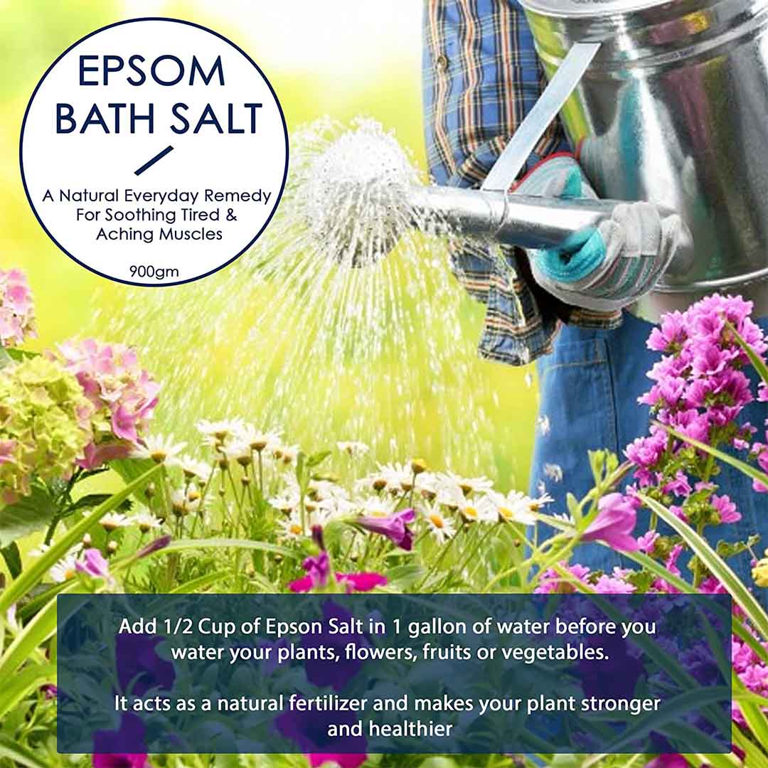 Vanity Wagon | Buy WishCare Pure Epsom Bath Salt for Calming & Relaxing Body Muscles